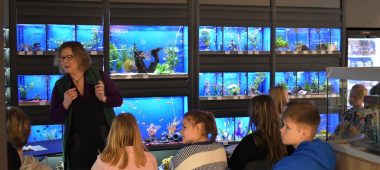 Познавательные экскурсии для детей о мире домашних животных!