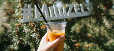 Познавательное и вкусное приключение в облепиховом саду