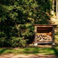 Dabas parks Laukezers (1)