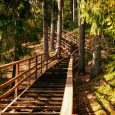 Dabas parks Laukezers (5)