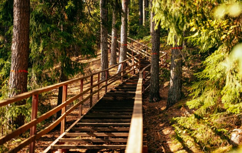 Dabas parks Laukezers (5)