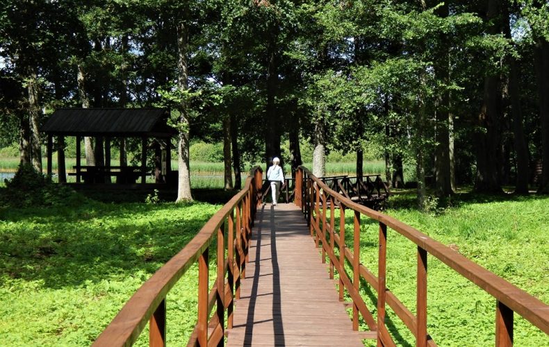 Marinzejas muižas parks (3)
