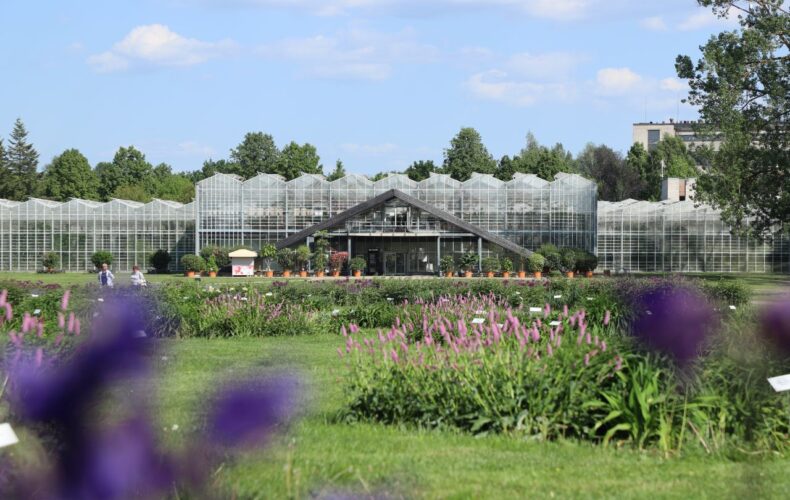 Botaniskais_darzs_017