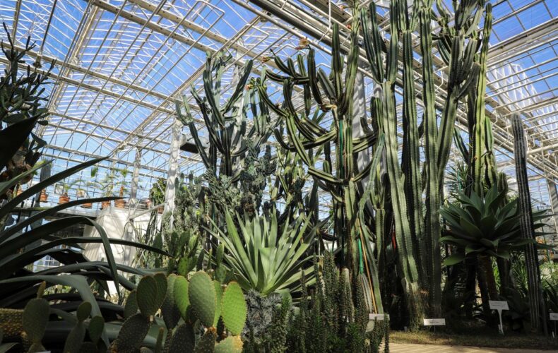 Botaniskais_darzs_019