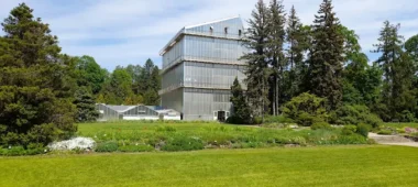 Ботанический сад Латвийского университета