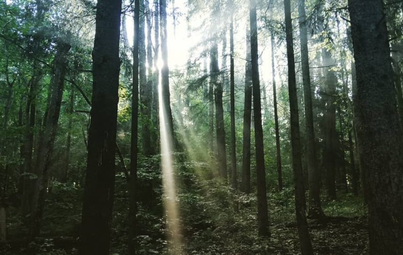 Akmeņupītes-krāces