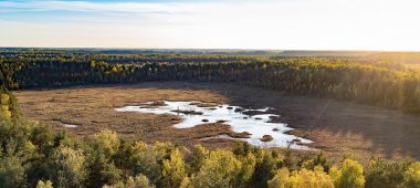 Болото и лес Медема