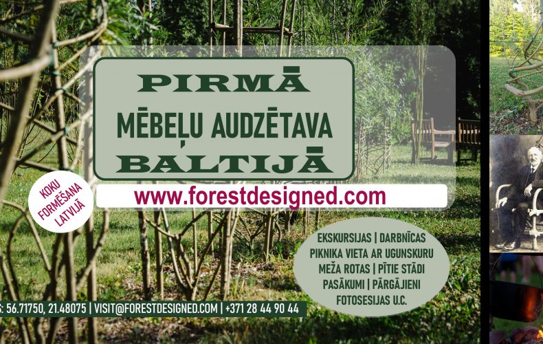 Meža-dizaina-dārzs6
