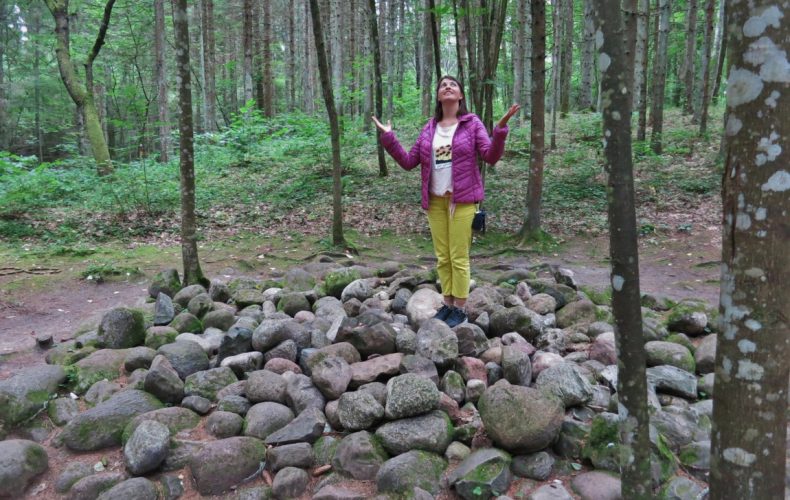 pokainu-meza-aura
