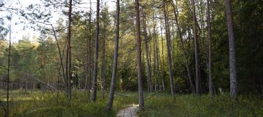 Болотная тропа Андрупене