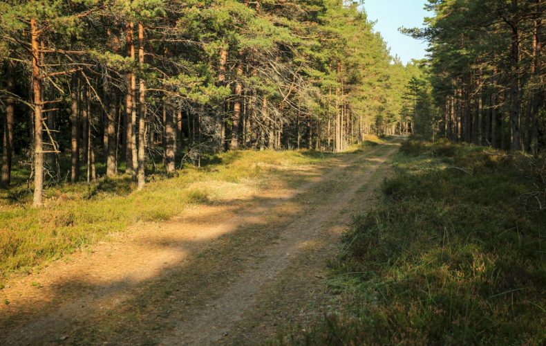 Mazbanisa.dabas_.taka1