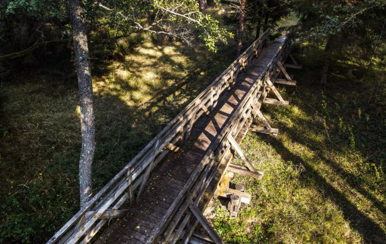 Mazbanisa.dabas_.taka_-1500x1125