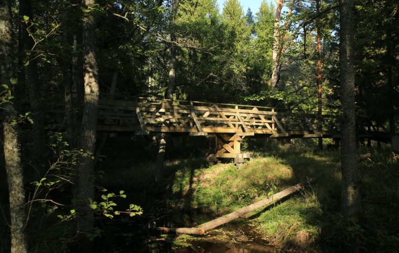 Mazbanisa.dabas_.taka