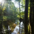 paukjerves-ezera-dabas-taka-un-telsu-vieta-003