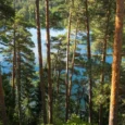 paukjerves-ezera-dabas-taka-un-telsu-vieta-008