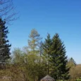 zilie-kalni-006