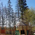 zilie-kalni-008