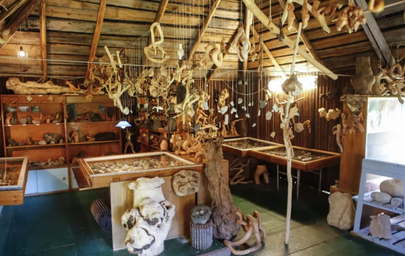 vaidavas-akmenu-parks-011